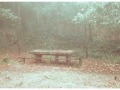 Mesa de picnic paleo