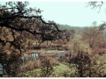 20151128_barrancos_08